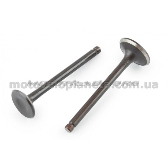 Клапаны (пара, голые)   Delta 70   (L-66mm)   RBR, пара