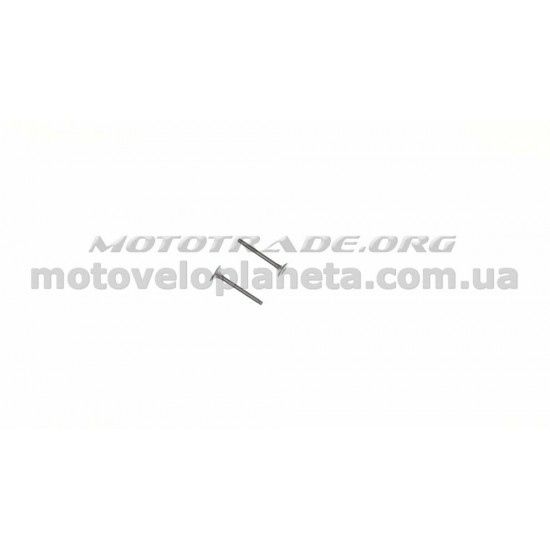 Клапаны (пара, голые)   Delta 70   (TM)   EVO, пара