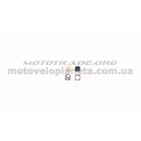 Ремкомплект карбюратора б/п   для Goodluck GL4500/5200   WOODMAN   (mod.A), шт