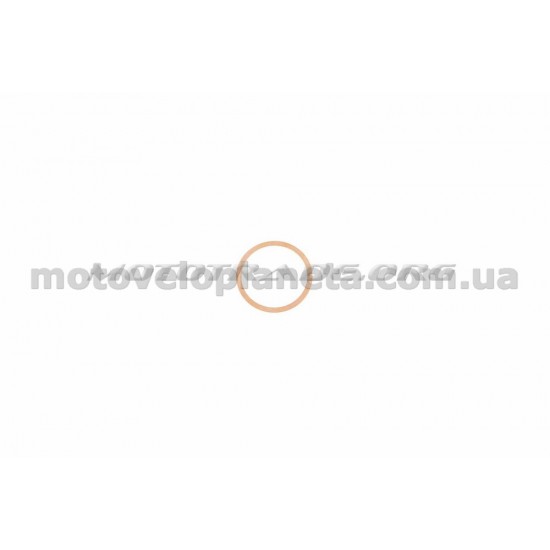 Прокладка головки цилиндра   МИНСК   (медь)   ZEV, шт