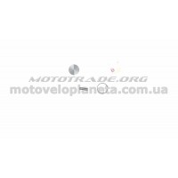 Поршень б/п   для Husqvarna 137   (Ø38,00)   WOODMAN   (mod.A), компл.