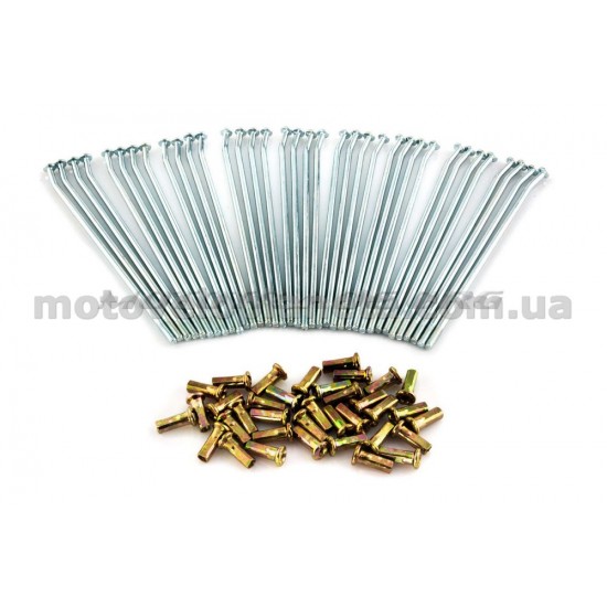 Спица колеса   ЯВА   (L-145mm, D-3,5mm) (компл, 36шт)   JING, компл.