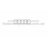 Кольца   Active 110   0,75   (Ø53,15)   SUNY   (mod.B), компл.