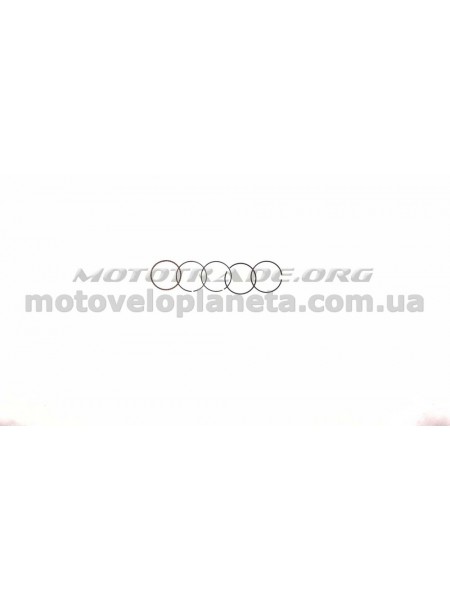 Кольца Delta 50 0,50 (Ø39,50) SUNY (mod.B), компл. Кольца Delta 50 0,50 (Ø39,50) SUNY (mod.B), компл.