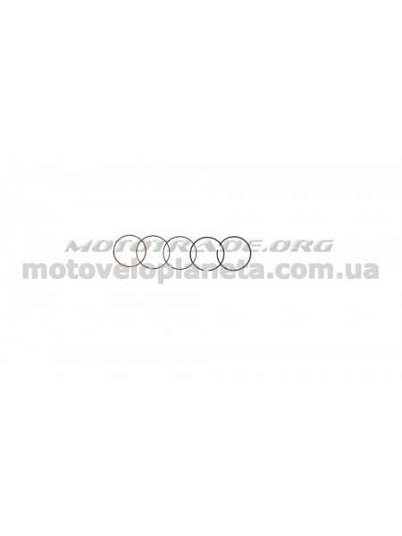 Кольца Delta 70 0,75 (Ø47,75) SUNY (mod.B), компл. Кольца Delta 70 0,75 (Ø47,75) SUNY (mod.B), компл.