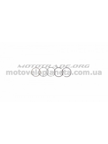 Кольца Delta 90 0,75 (Ø47,75) SUNY (mod.B), компл. Кольца Delta 90 0,75 (Ø47,75) SUNY (mod.B), компл.
