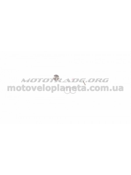 Поршень мотокосы   1E34F   (Ø34)   WOODMAN   (mod.A), компл.