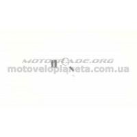 Поршень мотокосы   для Oleo-Mac Sparta 25   (Ø34)   EVO-1, компл.