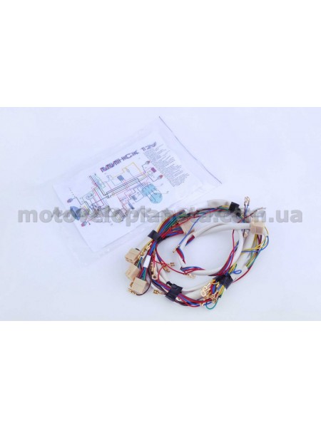 Проводка МИНСК 12V IGR, шт Проводка МИНСК 12V IGR, шт