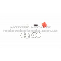 Поршень   Delta 100   .STD  (Ø50,00)   SUNY   (mod.A), компл.