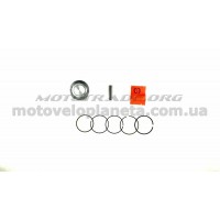 Поршень   Delta 70   .STD  (Ø47,00)   SUNY   (mod.A), компл.