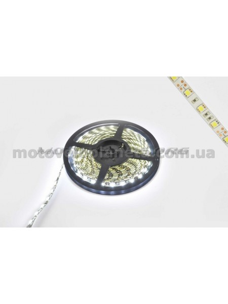 Лента светодиодная SMD 5050 (белая, влагостойкая, 60 крист/1м, бухта 5м), шт Лента светодиодная SMD 5050 (белая, влагостойкая, 60 крист/1м, бухта 5м), шт