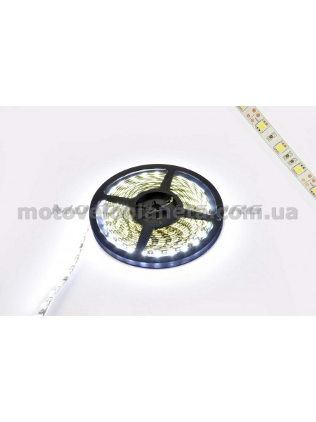 Лента светодиодная SMD 5050 (белая, влагостойкая, 30 крист/1м, бухта 5м), шт Лента светодиодная SMD 5050 (белая, влагостойкая, 30 крист/1м, бухта 5м), шт