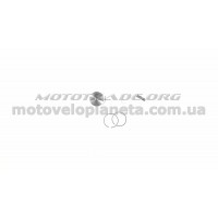 Поршень б/п   для St M 441   (Ø50,00)   WOODMAN   (mod.A), компл.