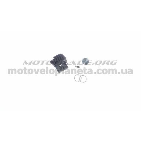Поршневая кустореза (ЦПГ)   для St  FS220/FS240   (Ø38)   WOODMAN   (mod.A), компл.