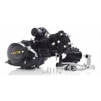 Двигатель 1P52FMH 110cc, механика, черный "SDTW" (Delta 110)