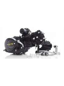 Двигатель 1P52FMH 110cc, механика, черный "SDTW" (Delta 110)