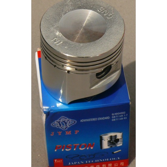Поршень DELTA - ALFA -100 Ǿ50 0,25